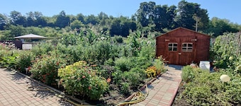 Welcoming house with WiFi in charming Ocna Sibiului near the Carpathians