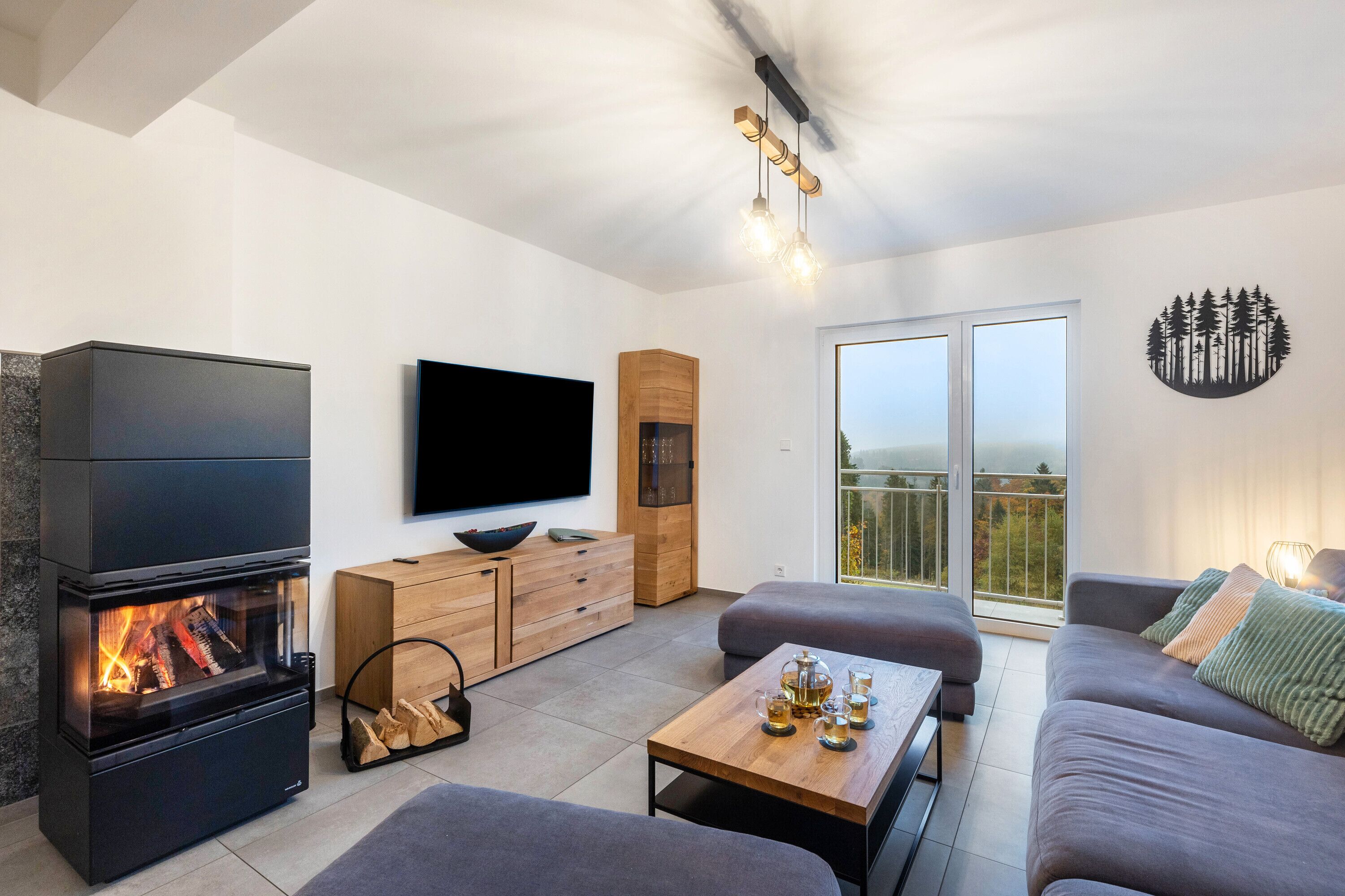 TV, fireplace, table tennis