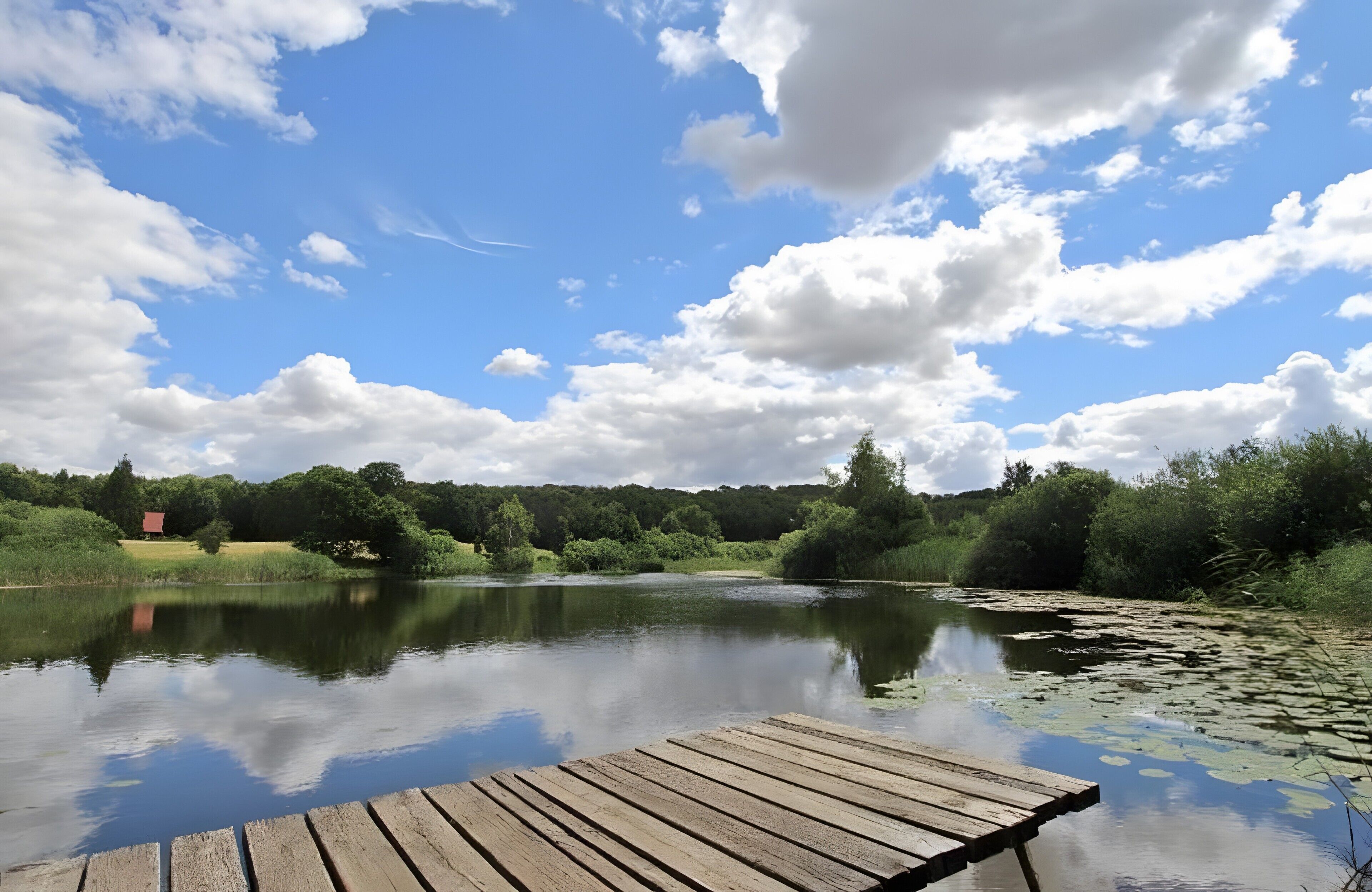 A calm lake with a wooden dock extending into the water, surrounded by lush greenery and a clear blue sky.