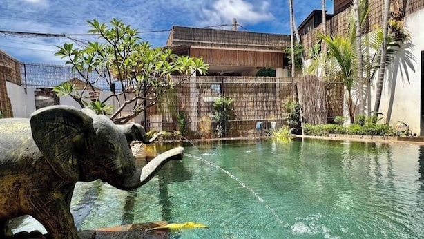 Una piscina con una estatua decorativa de elefante, rodeada de vallas de bambú y plantas tropicales.