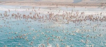 The Scarborough Beach House - 500m from the Beach