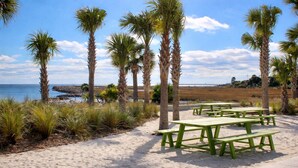 Area picnic in riva al mare, con tavoli verdi e palme.