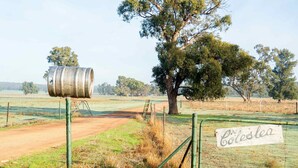 A rural landscape with a metal barrel, a sign reading 'Coleslea,' and a large tree. - Coleslea by Tiny Away (Leeton)
