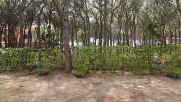 Parco della struttura