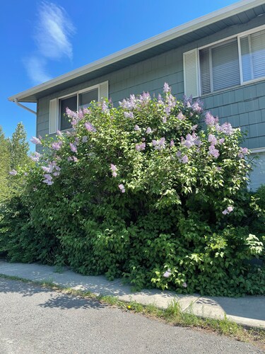 Cozy 2-bedroom apartment in charming Anchorage with WiFi 3