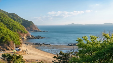 Exterior. Ganghwa Raube Pet-friendly Pension