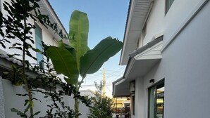 Ein schmaler Pfad führt zu einem Hauseingang, begrenzt von weißen Mauern und Grünpflanzen.