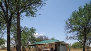 Une tente de safari avec un toit vert, entourée d’arbres, et on peut voir un lit à l’intérieur.