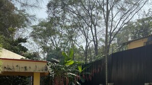 A grassy yard with a building, trees, and a fence. - Corniche Inn Resorts (Anaikatti)