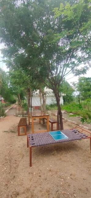 Outdoor dining - Kross Adventure Campsite (Bali)