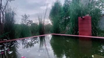 Kolam renang outdoor