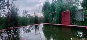 Outdoor pool - Kross Adventure Campsite (Bali)