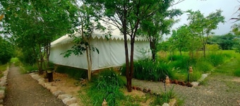 Kross Adventure Campsite