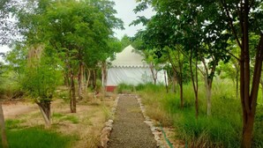 A pathway leading to a white building surrounded by trees. - Kross Adventure Campsite (Bali)
