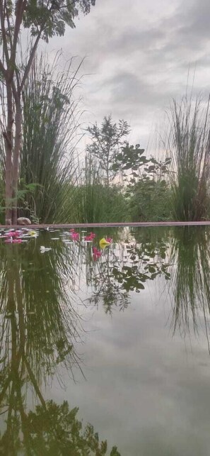 Outdoor pool - Kross Adventure Campsite (Bali)
