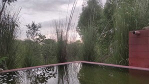 A pond with lily pads and a red fence. - Kross Adventure Campsite (Bali)