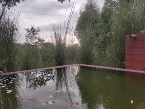 Alberca al aire libre