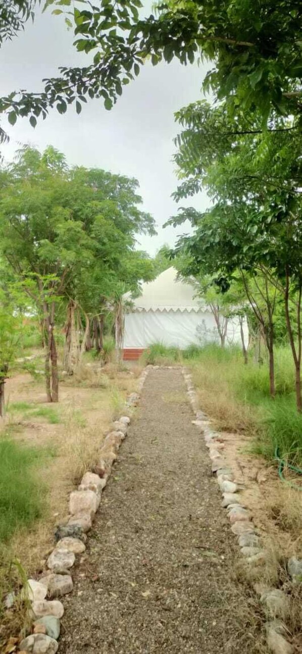 Un chemin de gravier bordé d’arbres et, au loin, un bâtiment.