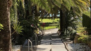 A pathway lined with palm trees and a clear sky. - Casa Torre - Sea Views (Torremolinos)