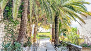 A pathway flanked by palm trees and a stone wall, leading to a building with a white facade.