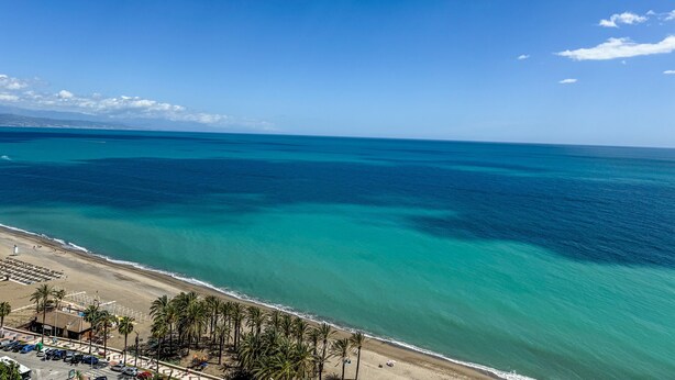 Una playa con aguas turquesas cristalinas, una orilla arenosa y una hilera de palmeras.