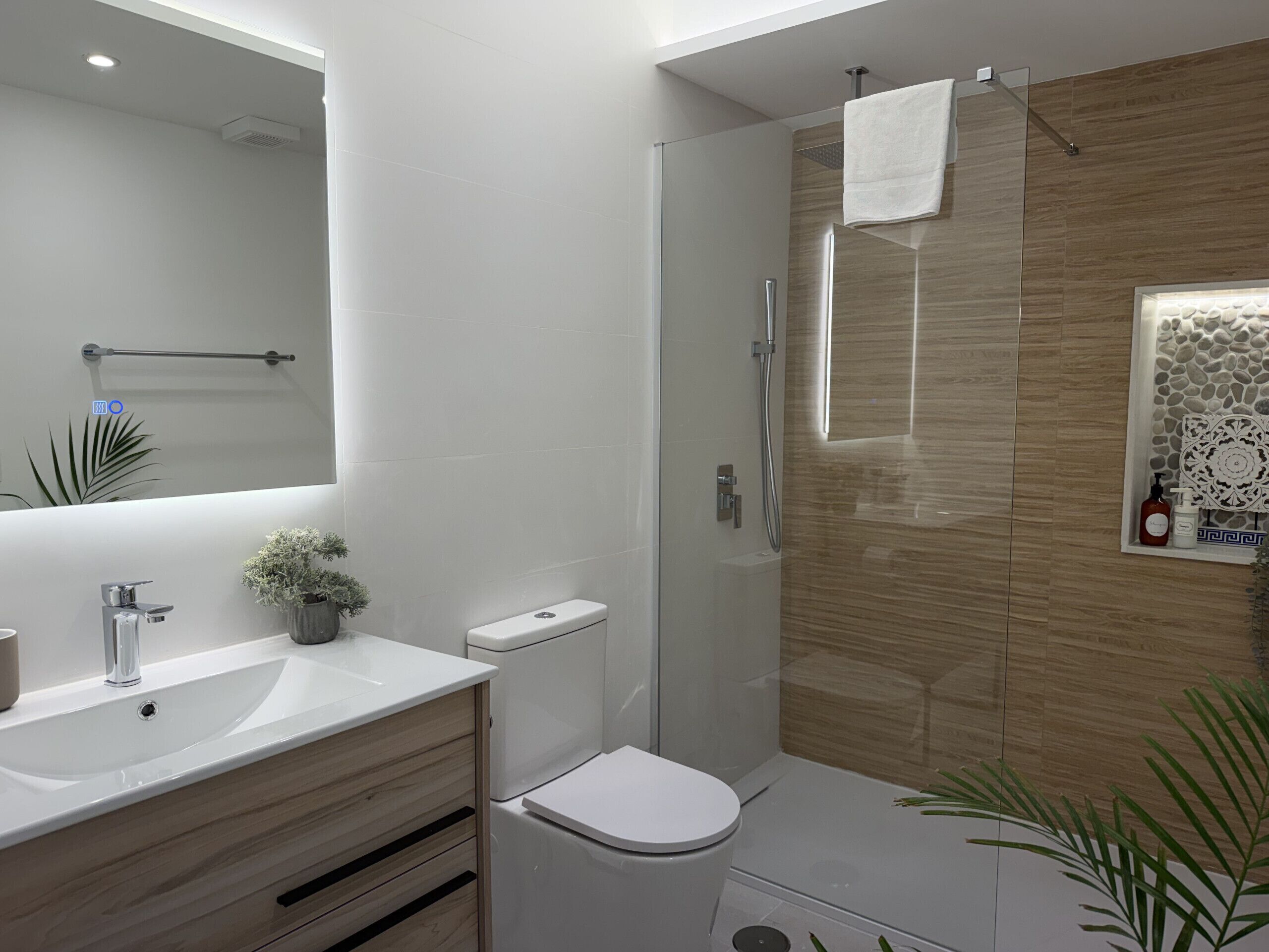 Shower, hair dryer, bidet, towels