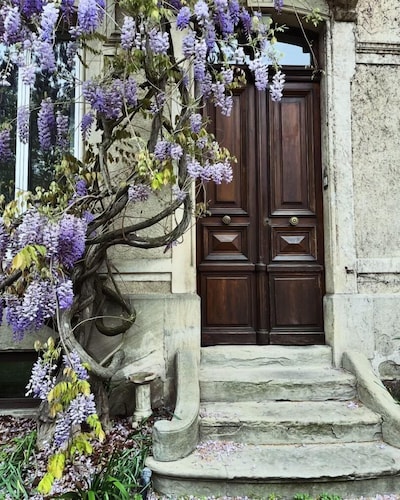 SalutBB Chambre d'hote