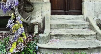 SalutBB Chambre d'hote