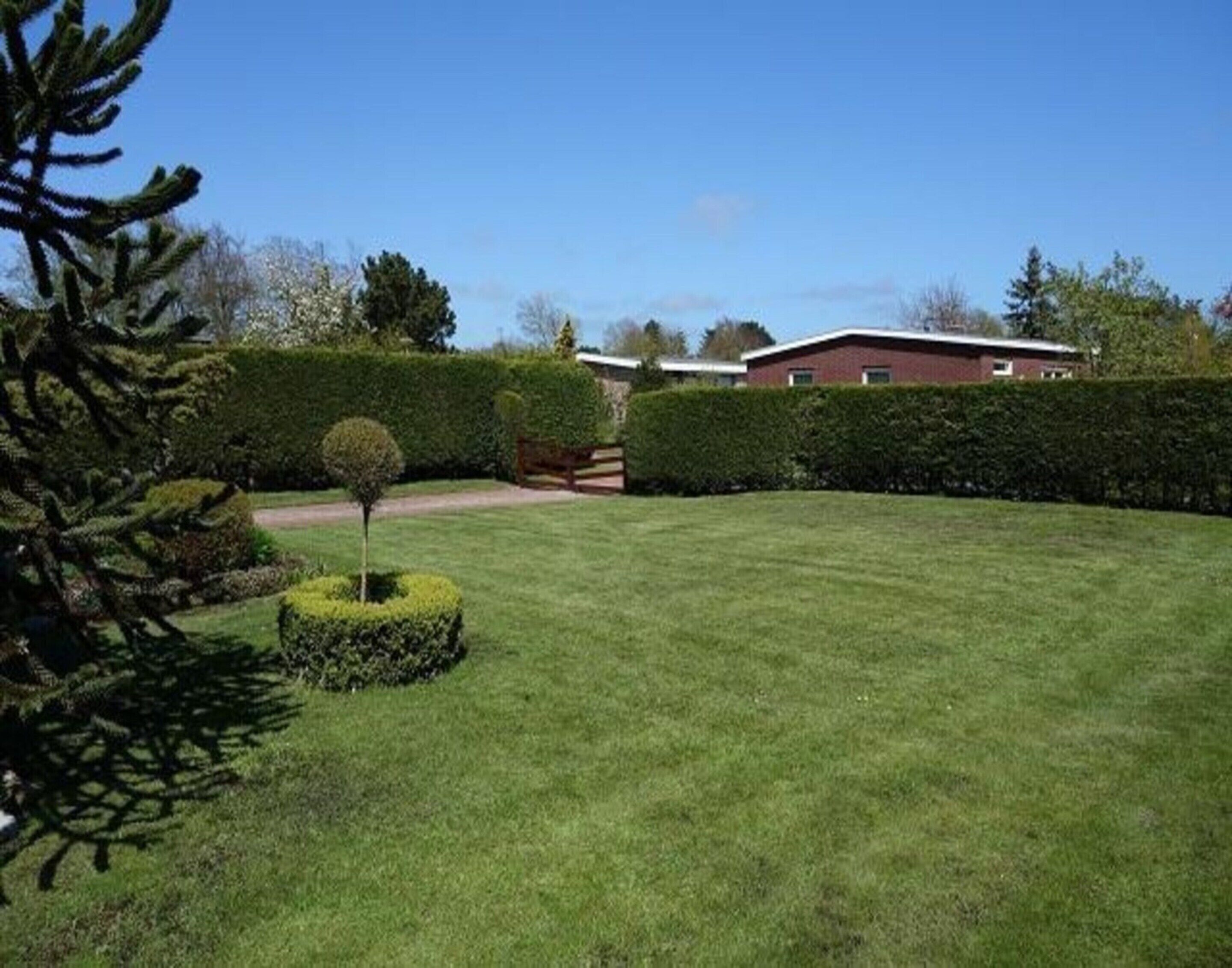 A well-maintained lawn with a neatly trimmed hedge and a small tree.
