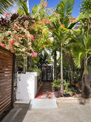 Property grounds - Charming B&B at Baie du Tombeau, near Port-Louis (Baie du Tombeau)