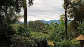 Vistas a la montaña