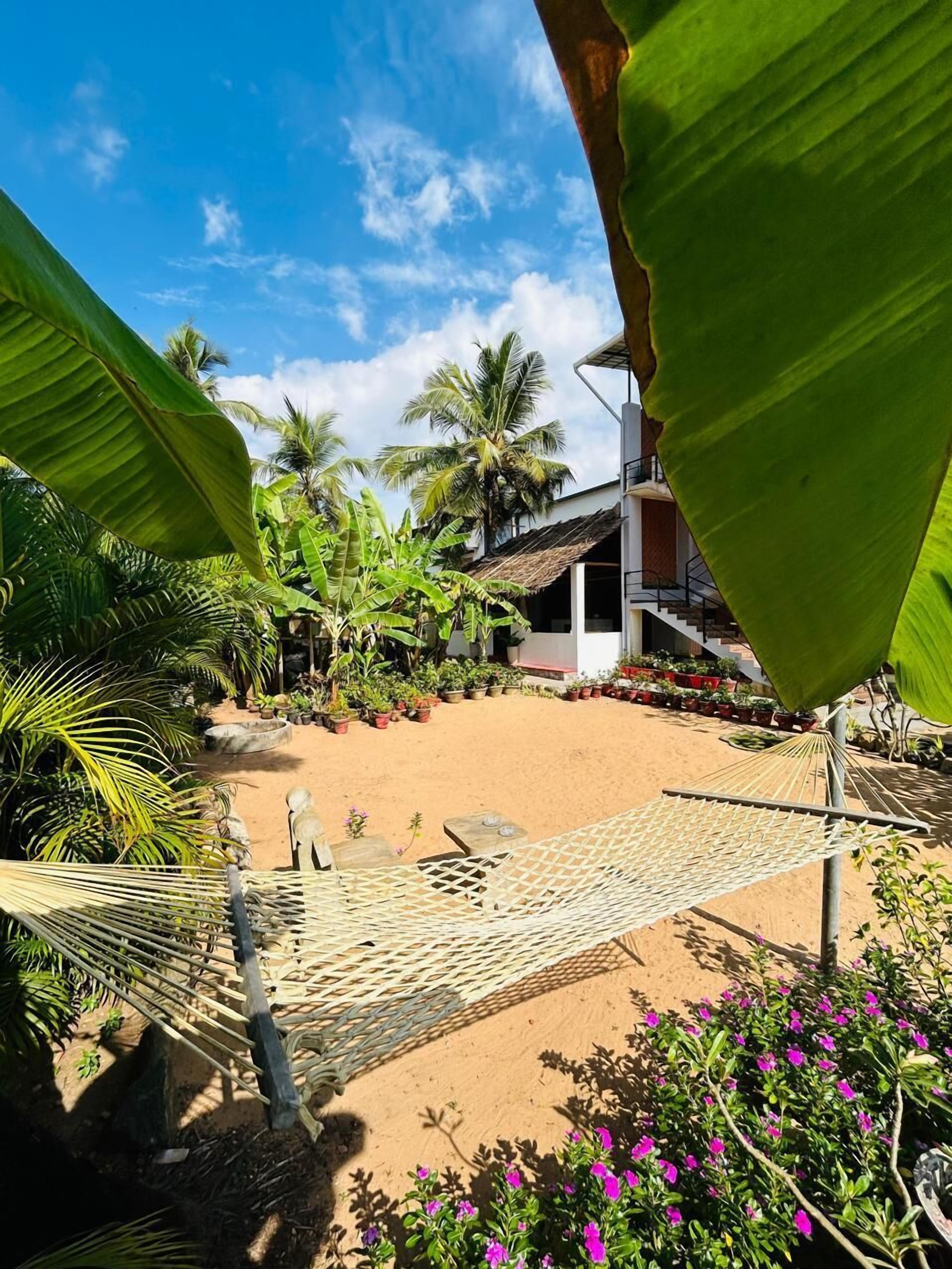 A sandy courtyard with a hammock, palm trees, and a building with a sloped roof.