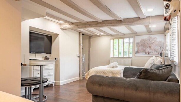 A bedroom with a bed, a sofa, a TV, and a window with a view of trees. - Old Thatch Bambers Green (Bishop's Stortford)