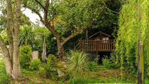 A wooden deck with a rustic cabin in a lush garden. - Old Thatch Bambers Green (Bishop's Stortford)