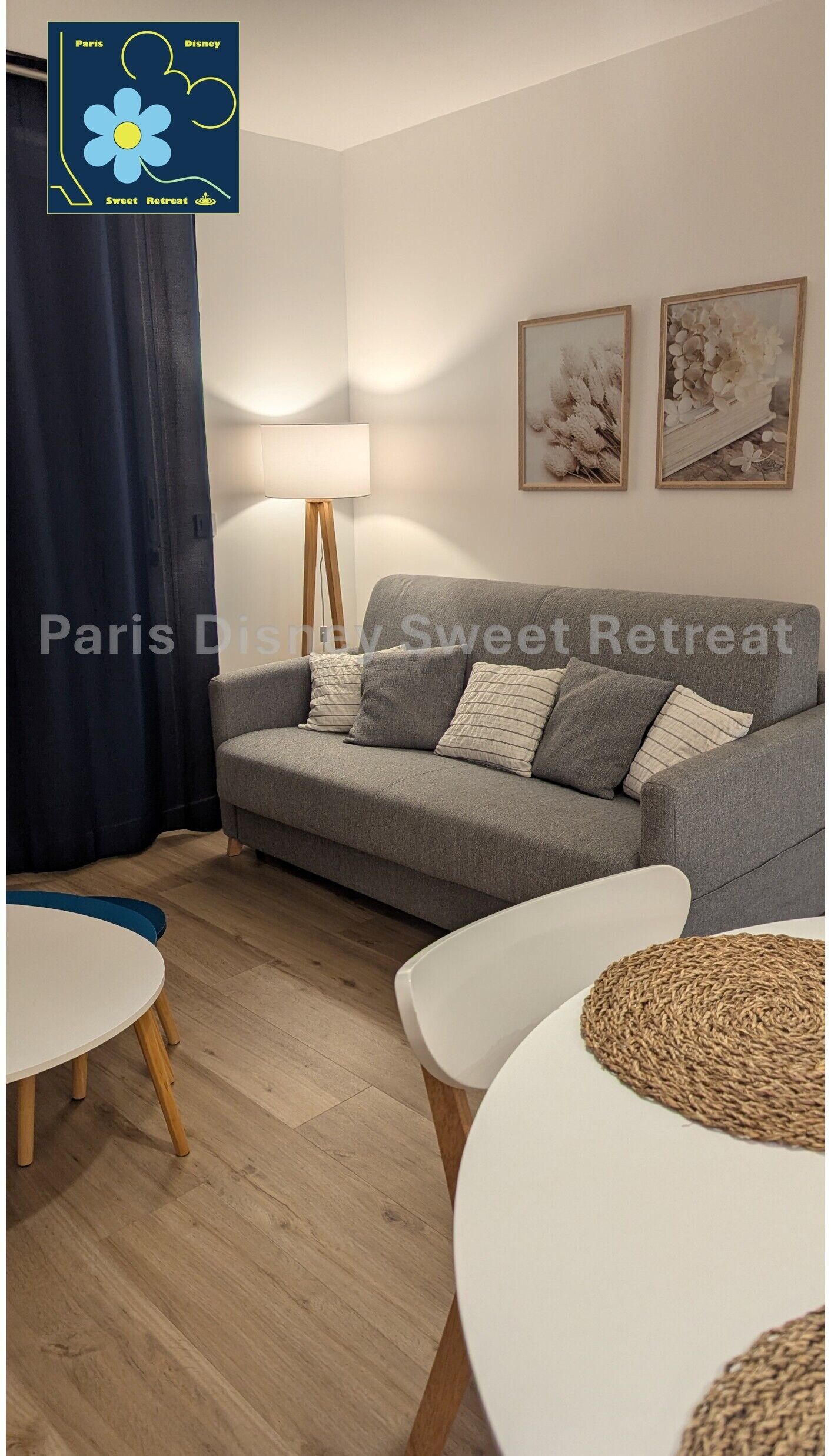 智能电视、乒乓球