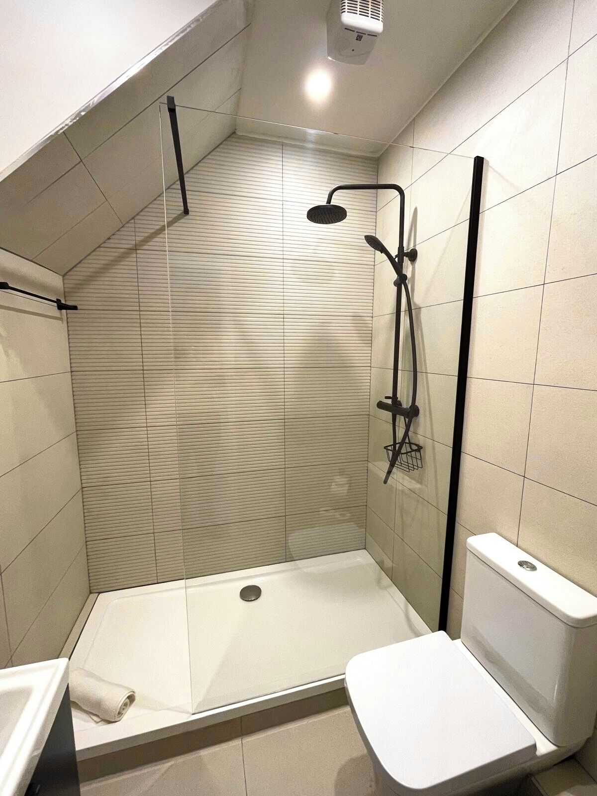 Hair dryer, towels, soap, toilet paper