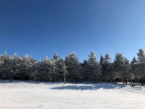 Un paisaje nevado con cielo azul despejado y una fila de árboles de hoja perenne.
