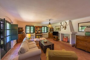 TV, fireplace