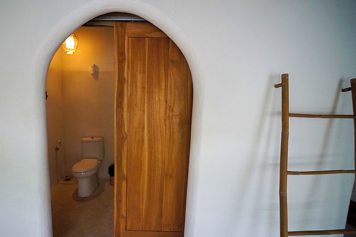 A bathroom with a wooden door, a toilet, and a ladder leaning against the wall.