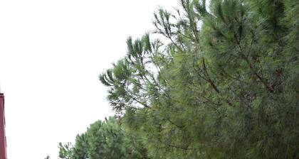 2 minutes from the sea Family apartment with terraces.