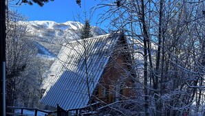 Front of property - Le Refuge  (Allos)