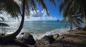A beach with palm trees, rocky shoreline, and a view of the ocean. - Martinique Studio Stopover Diamond (Le Diamant)