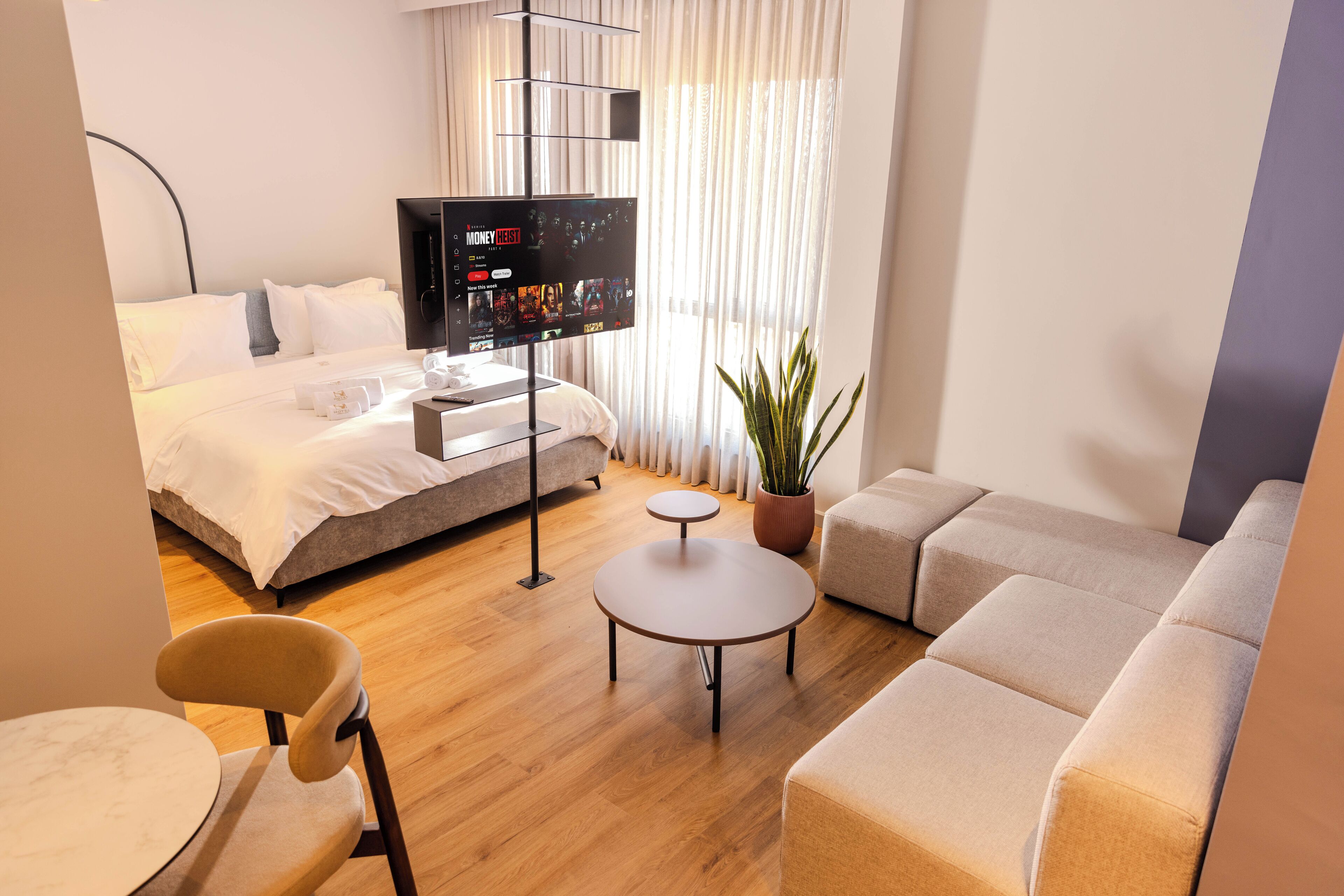 A modern hotel room with a bed, a TV, a sofa, a chair, a small table, and a potted plant.