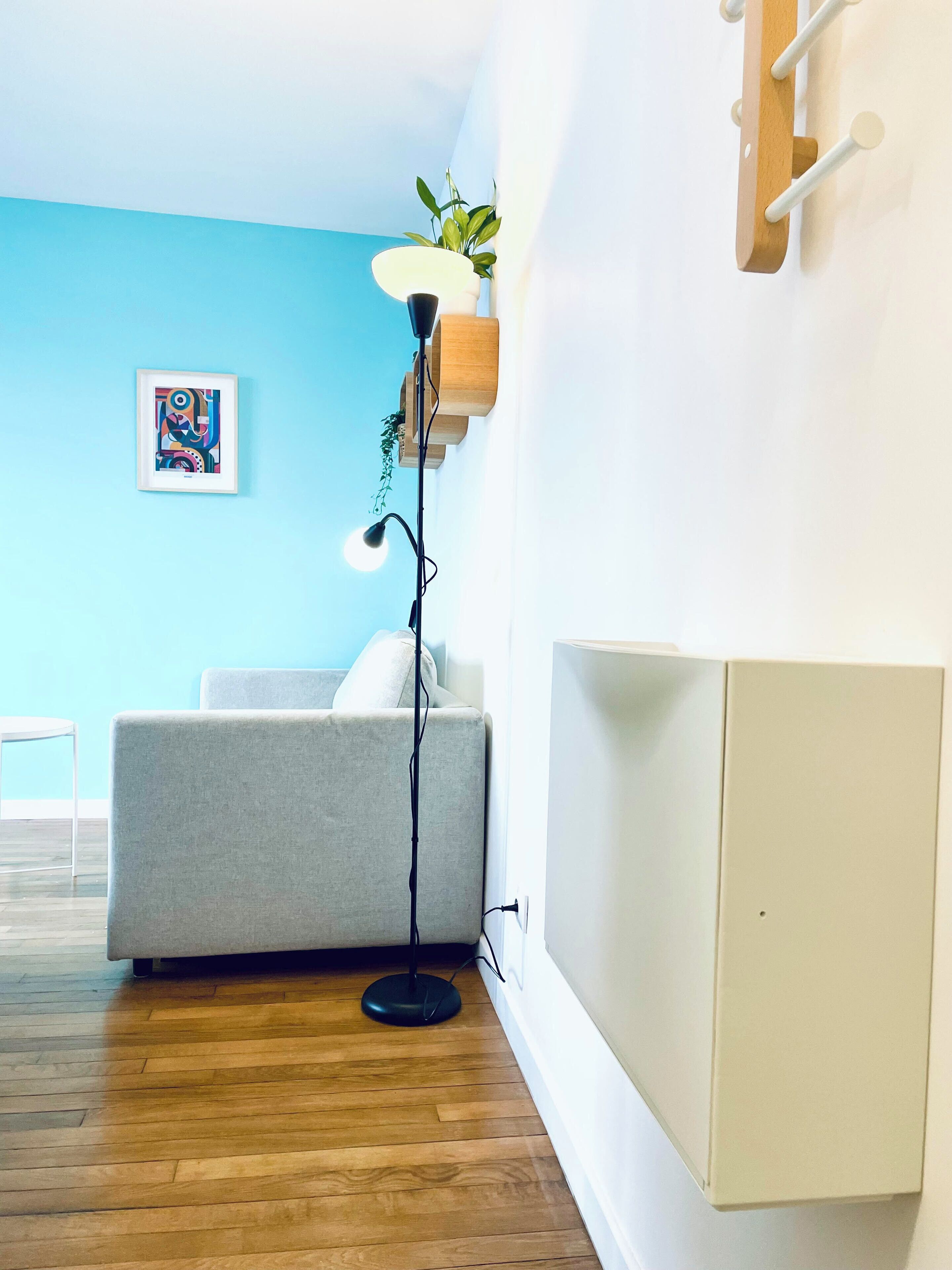 A room with a grey sofa, a floor lamp, a small plant, and a framed picture on the wall.
