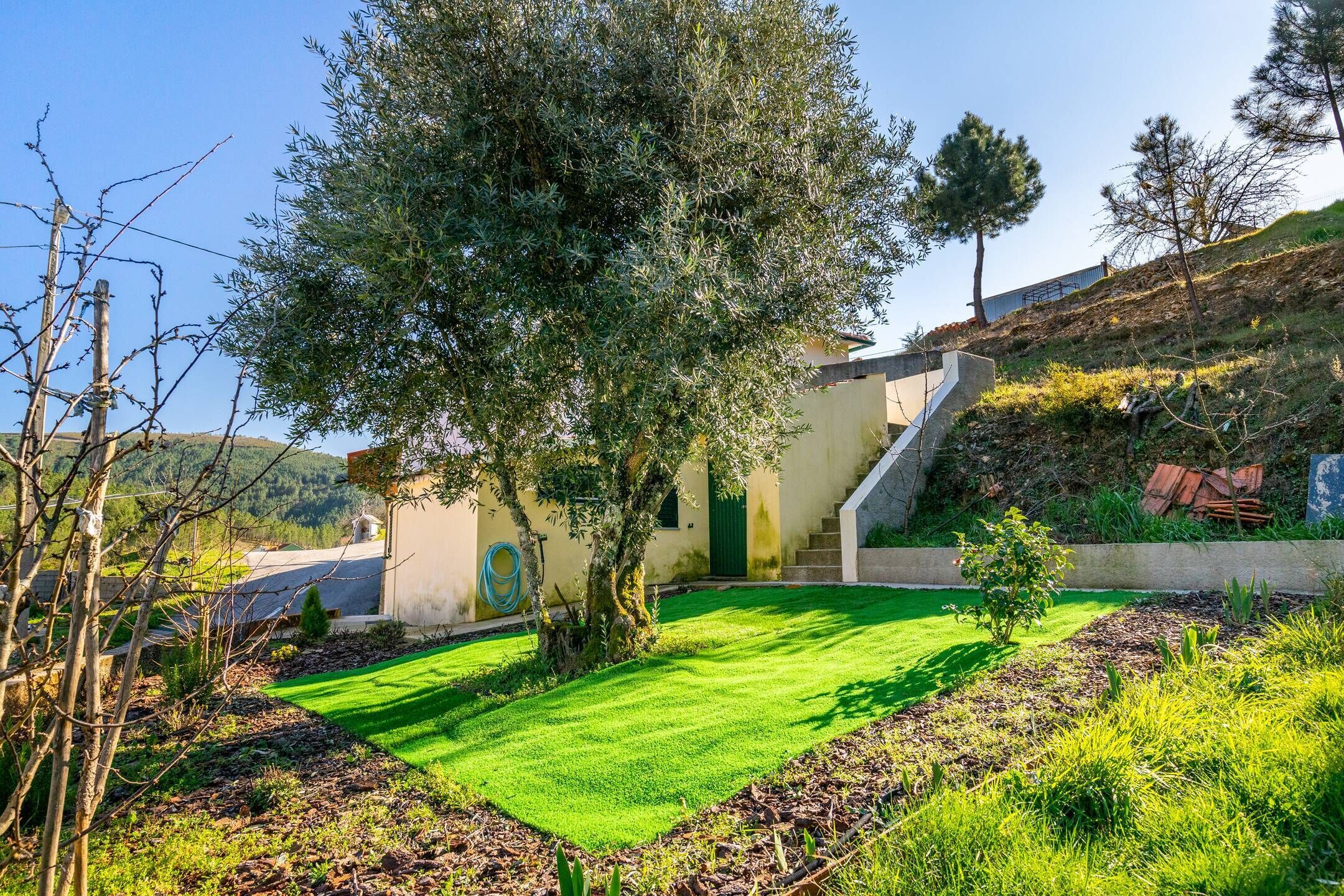 Área da propriedade