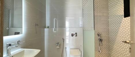 Ducha, toallas, jabón, papel higiénico