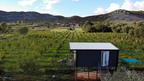 Un vignoble avec des rangées de vignes et un petit bâtiment doté d’un toit en métal.
