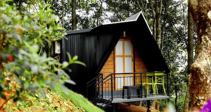 Garden of eden-Thottam