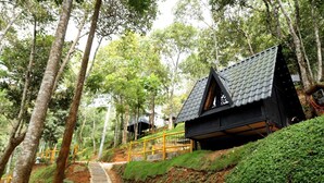 Ngoại thất