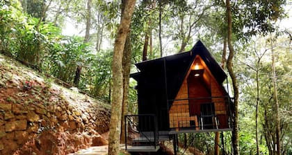 Garden of eden-Thottam